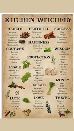 kitchen witchy poster with herbs and spices