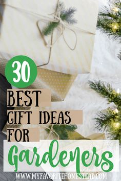 Check out this list of 30 BEST gift ideas for gardenersWhether a gardener or homesteaderthey will appreciate the thought behind these practical gift ideasSometimesyou just need an idea for that hard-to-buy-for person and this list has you coveredpresentsforhim practicalgiftideas giftideasgardeners giftforgardeners gardening Homesteading Checklist, Gifts For Homesteaders, Homestead Christmas, Homestead Tips, Homestead Lifestyle, Homestead Gardening