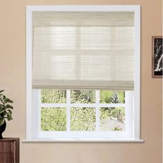 a window with a white roman blind in front of it and a potted plant next to the window