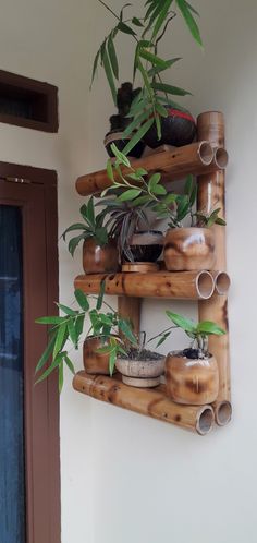 a wooden shelf with plants and pots on it