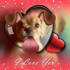 a small dog sticking its tongue out through a heart shaped frame with the words i love you