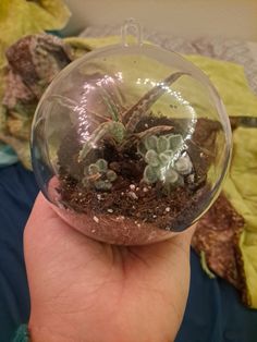 a hand holding a glass ball with succulents in it and dirt inside