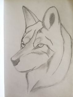 a pencil drawing of a wolf's head