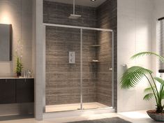 a bathroom scene with focus on the shower door and toilet, plant in the corner