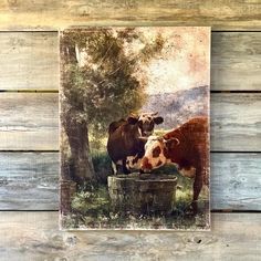 two cows standing next to each other in front of a wooden fence with trees and grass