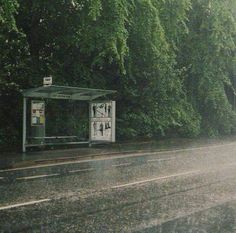 a bus stop sitting on the side of a road in front of some green trees