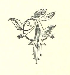 a drawing of a flower with leaves on it