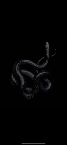 a black and white snake on a dark background with the words, don't touch me