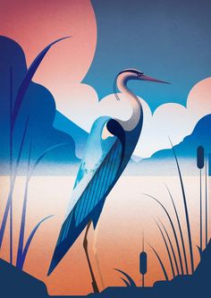 an image of a blue heron standing in the water with mountains and clouds behind it