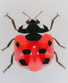 a drawing of a bug made out of paper