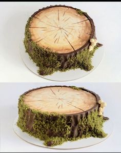 two pictures of a cake with moss on top and the same cake as it appears to be cut in half