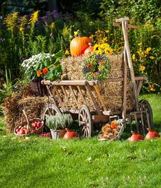 an old wooden wagon filled with hay and pumpkins sitting in the middle of a garden