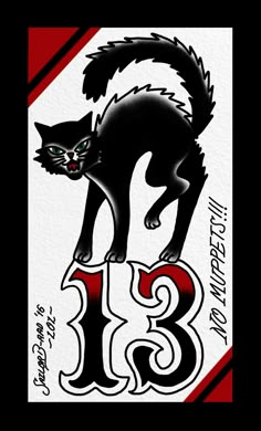 an image of a black cat with the number thirteen on it's back side