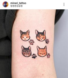 four cats and paw prints on the arm