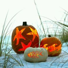 two carved pumpkins sitting in the snow next to some tall grass and sand dunes