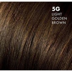 ONC 5G Light Golden Brown Hair Dye With Organic Ingredients 120 mL / 4 fl. oz. Color Results Brown Hair Dye Numbers, Light Amber Brown Hair, Golden Brown Hair Dye, Light Golden Brown Hair Color, Natural Light Brown Hair, Light Brown Hair Dye, Light Golden Brown Hair, Healthy Hair Colors, Golden Brown Hair Color