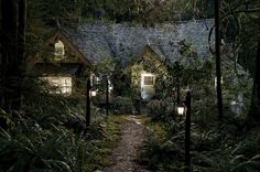 the house is lit up at night in the woods with trees and bushes around it