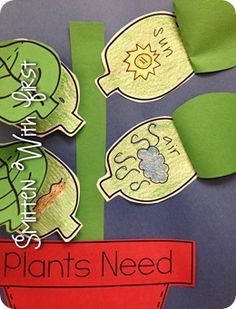 some paper flowers and leaves on a blue background with the words plant's need