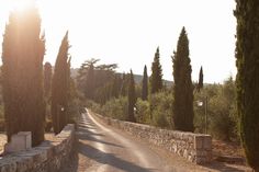 an empty road surrounded by tall trees and stone walls with the sun shining on them