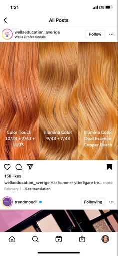 Apricot Hair Color Copper, Papaya Hair Color, Orange Hair Formula, Copper Penny Hair Color, Ginger Hair Formula, Ginger Peach Hair