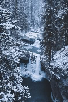 a river running through a forest covered in snow