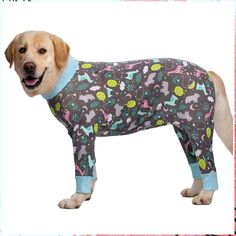 Kzrfojy Dog Recovery Suit for Dogs After Surgery Female Male Medium Large Dog Neuter Spay Onesie for Shedding Prevent Licking Pajamas Jumpsuit, Golden Retriever Husky, Dog Pjs, Caucasian Shepherd, Dog Pajamas, Dog Products, Shepherd Dogs, Dog Apparel