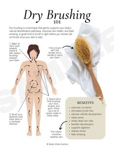 Dry Brushing 101 Handout  Functional Health Research   Resources  Made Whole Nutrition Easy 30 day return policy Benefits Of Dry Brushing, Membakar Lemak Perut, Motivasi Diet, Feminine Health, Health Research, Body Skin Care Routine, روتين العناية بالبشرة, Self Care Activities, Health And Beauty Tips