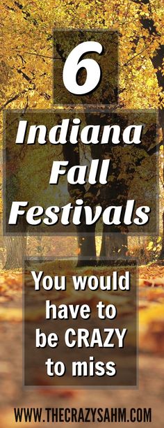 the 6 indiana fall festivals you would have to be crazy to miss