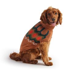 a dog wearing a sweater sitting on the ground with it's tongue hanging out