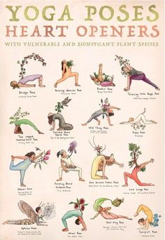 an old poster shows yoga poses for heart openers, with the names and pictures below