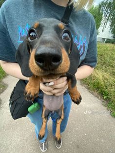 a person holding a small dog in their arms