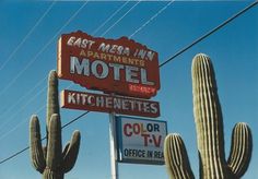 a motel sign next to a large cactus