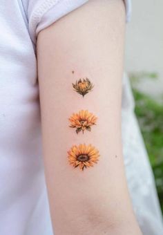 three sunflowers on the left side of the arm