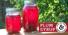 two jars filled with red liquid sitting on top of a wooden table next to trees