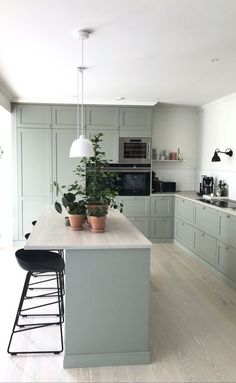 a kitchen with an island and potted plants on the counter