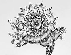 a drawing of a turtle with a flower on its back