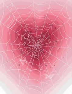 a spider web on a pink background