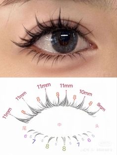 Small Eyelashes Extensions, Small Eyes Eyelash Extensions, Spikey Lash Map, Baby Doll Lashes, Eyelashes For Small Eyes, Asian Eyelash Extensions, Dolly Lashes, Girl Maintenance, Lash Maps