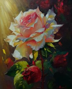 a painting of a white and red rose with the sun shining down on it's petals