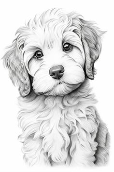 a black and white drawing of a puppy