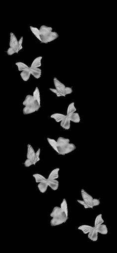 a group of white butterflies flying in the air