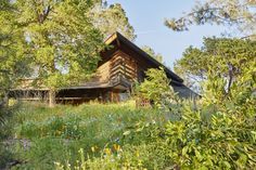 a log cabin nestled in the woods surrounded by wildflowers and tall grass with trees around it