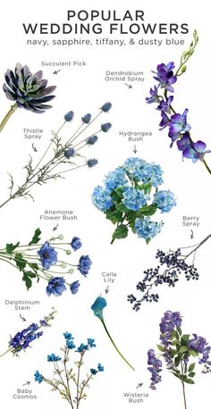 an image of flowers that are in different colors and sizes with the words, popular wedding flowers