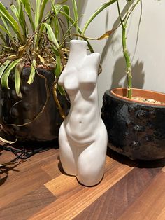 a white vase sitting on top of a wooden table next to a potted plant