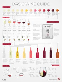 the basic wine guide for beginners to learn how to make wines and tasting them