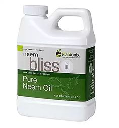 a gallon of pure neem oil sits on a white surface with the words bliss written below it