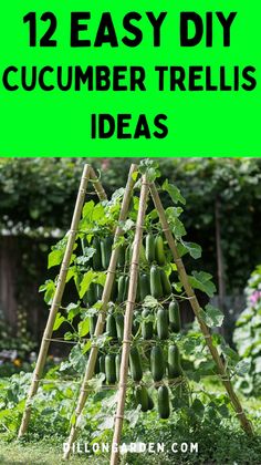 12 DIY trellis ideas that are not only budget-friendly but also super simple to set up. These trellises will maximize your garden space and help your plants grow strong and healthy. Click to see more of Effortless 12 Easy DIY Cucumber Trellis Ideas That Will Transform Your Garden. Diy Trellis Ideas