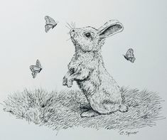 a drawing of a rabbit sitting on its hind legs with butterflies flying around it in the air