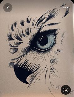 a drawing of an owl's eye