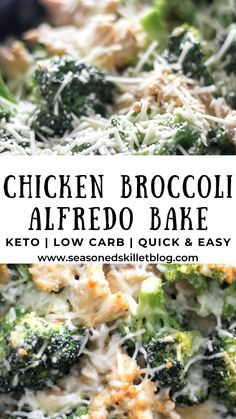 chicken broccoli alfredo bake with cheese on top